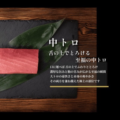 油谷産養殖本マグロ　中トロ柵　200g(1087)