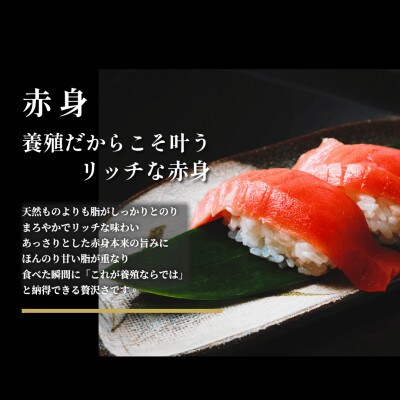 油谷産養殖本マグロ　赤身柵　約300g(1095)