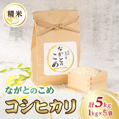 ながとのこめ　コシヒカリ白米1kg×5袋(10053)