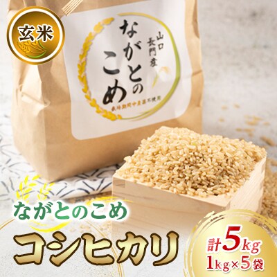ながとのこめ　コシヒカリ　玄米1kg×5袋　小分け(10054)