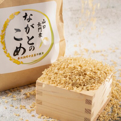 ながとのこめ　コシヒカリ　玄米1kg×5袋　小分け(10054)