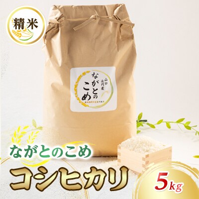 ながとのこめ　コシヒカリ白米5kg　(10055)