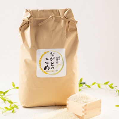 ながとのこめ　コシヒカリ白米5kg　(10055)