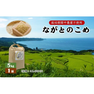ながとのこめ　コシヒカリ　玄米5kg(10056)