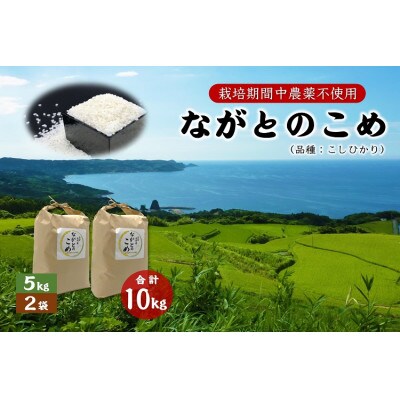 ながとのこめ　コシヒカリ白米5kg×2袋　合計10kg(12023)