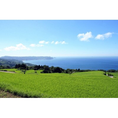 ながとのこめ　コシヒカリ白米5kg×2袋　合計10kg(12023)
