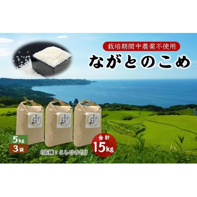 ながとのこめ　コシヒカリ白米5kg×3袋　合計15kg(1365)