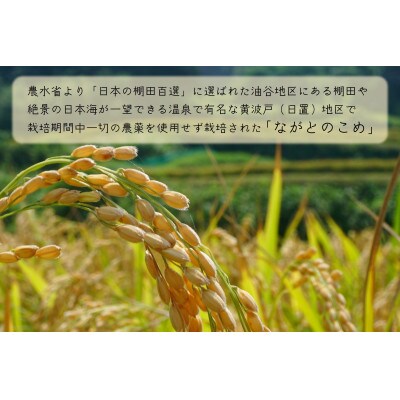 ながとのこめ　玄米コシヒカリ5kg×3袋(1366)