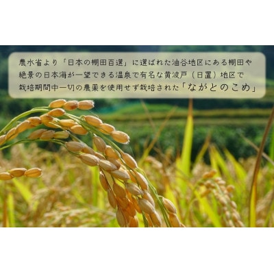 瓶詰めウニとコシヒカリセット (12025)