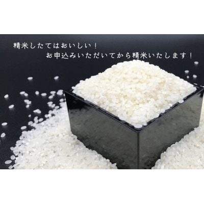 瓶詰めウニとコシヒカリセット (12025)
