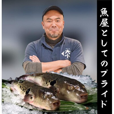 【配達日指定品】【冷蔵】とらふぐ ちり鍋 2人前※お礼品詳細を必ずご確認ください※
