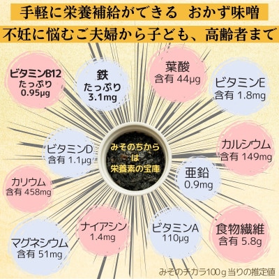 子宝の栄養おかず味噌 「みそのチカラ」3本セット
