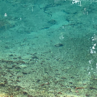 日本名水百選の湧水で蒸留した和精油4本(長門ゆずきち/甘夏/すぎ/ひのき)とひのきサシェ1個