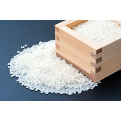 特別栽培米穂垂米コシヒカリ(精米)5kg