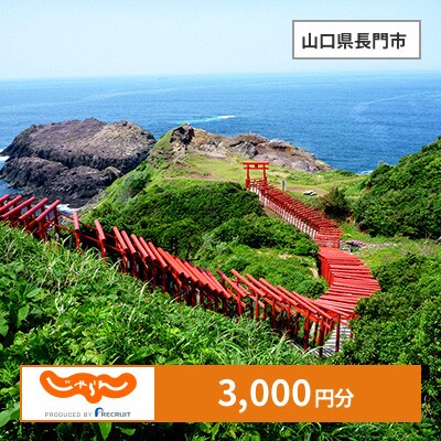 【じゃらんふるさと納税クーポン】 山口県長門市でつかえる3,000円 クーポン