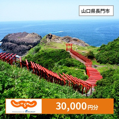 【じゃらんふるさと納税クーポン】 山口県長門市でつかえる30,000円 クーポン