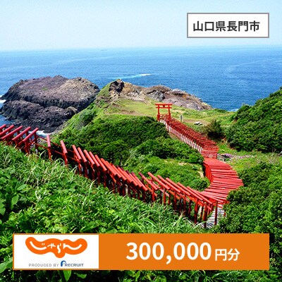 【じゃらんふるさと納税クーポン】 山口県長門市でつかえる300,000円 クーポン