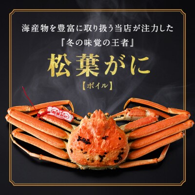 松葉がにボイル姿(2-4枚/計1.2kg)