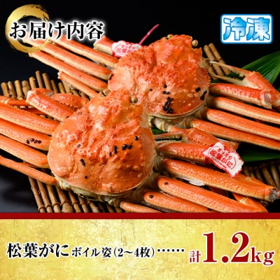 松葉がにボイル姿(2-4枚/計1.2kg)