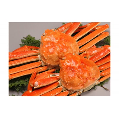境港産　松葉がに・紅ずわいがに　食べ比べセット
