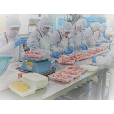 境港産紅ズワイガニ(計800g/脚肉500g・爪肉300g)