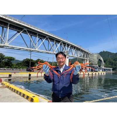 境港産紅ズワイガニ(計800g/脚肉500g・爪肉300g)