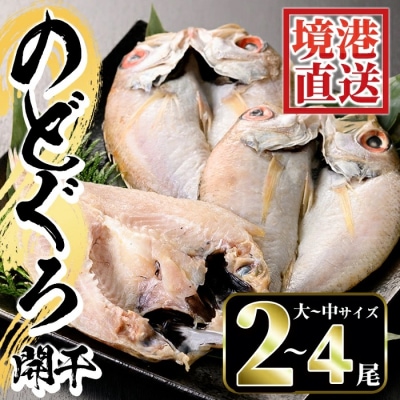 のどぐろ開干(大-中サイズ/2尾-4尾)