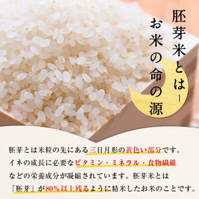 鳥取県産胚芽米(5kg・2kg/計7kg)【7-10月発送不可】