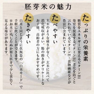 鳥取県産胚芽米(5kg・2kg/計7kg)【7-10月発送不可】