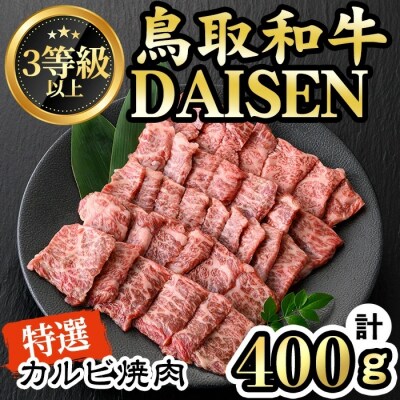 鳥取和牛DAISEN特撰カルビ焼肉(400g)