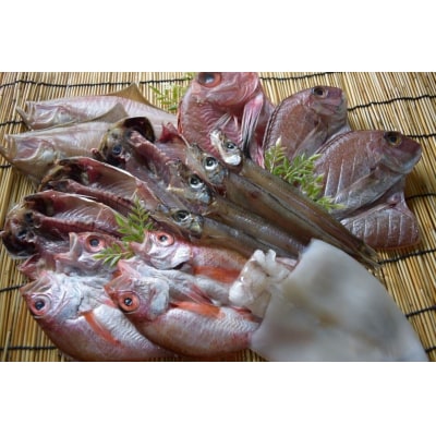 こだわりの一夜干詰合せ(4-5種類)