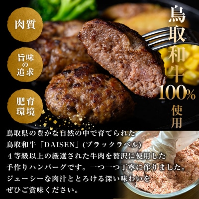 鳥取和牛DAISENハンバーグ(6個)