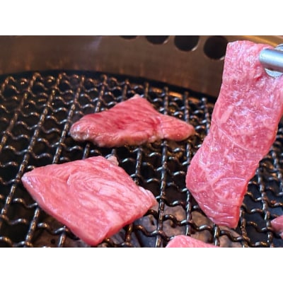 鳥取黒毛和牛もも焼肉用(360g)