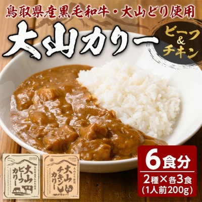 大山カリーセット(2種×3個)