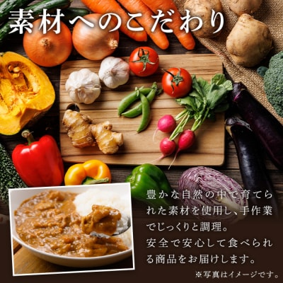 大山カリーセット(2種×3個)