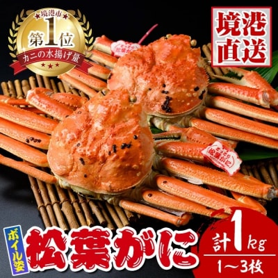 松葉がにボイル姿(1-3枚/計1kg)
