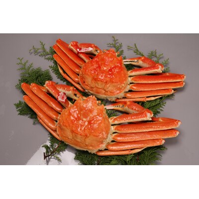 境港産松葉がにボイル姿タグ付き　計1kg(中サイズ2枚)