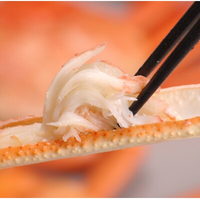 境港産松葉がにボイル姿タグ付き　計1kg(中サイズ2枚)