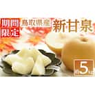 鳥取県産新甘泉 梨(約5kg)<2025年8月下旬以降順次発送予定>