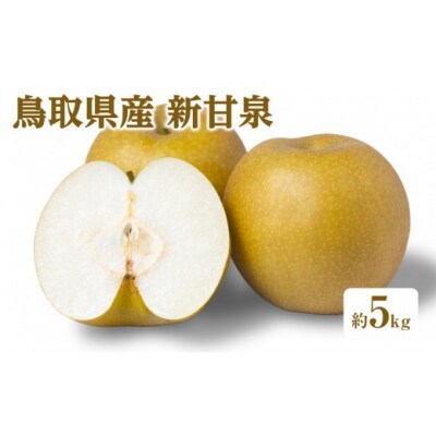 <2026年8月下旬以降順次発送予定>鳥取県産新甘泉(約5kg)