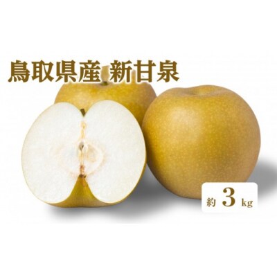 <2026年8月下旬以降順次発送予定>鳥取県産新甘泉(約3kg)