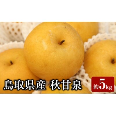 <2026年9月上旬以降順次発送予定>鳥取県産 秋甘泉(約5kg)