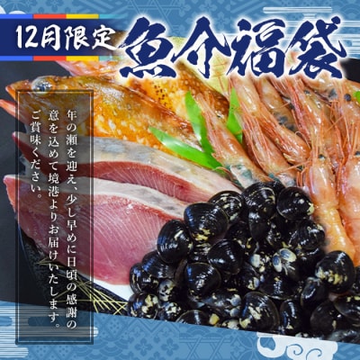 ちょっと早めの魚介「福袋」【12月限定配送】