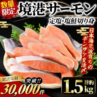 鳥取県産活〆「境港サーモン」(定塩・塩鮭切身)約1.5kg