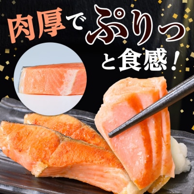 数量限定!鳥取県産活〆「境港サーモン」(定塩・塩鮭切身)約1.5kg