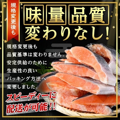 <新規格>鳥取県産活〆「境港サーモン」(定塩・塩鮭切身)約1.5kg