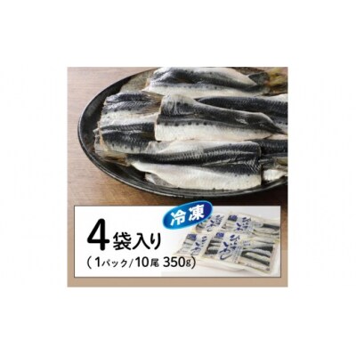 境港産 無塩いわしひらき 計1.4kg(10尾×4P)