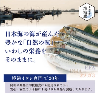 境港産 無塩 いわしフィレ(1kg×2P)