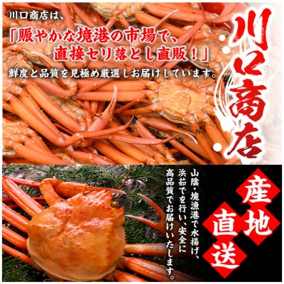 浜茹ベニズワイガニ足欠(2枚/計約800g)【7月-9月発送不可】