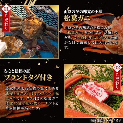 活〆ボイル松葉蟹(大)タグ付(約800g)【11月中旬から順次発送】